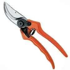 00008813638 PG30 SECATEUR